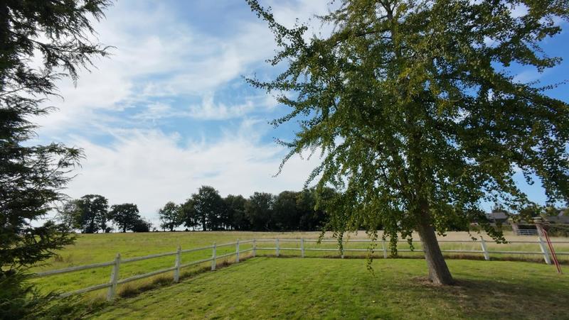 Pavillon - 116 m² - 7 pièces