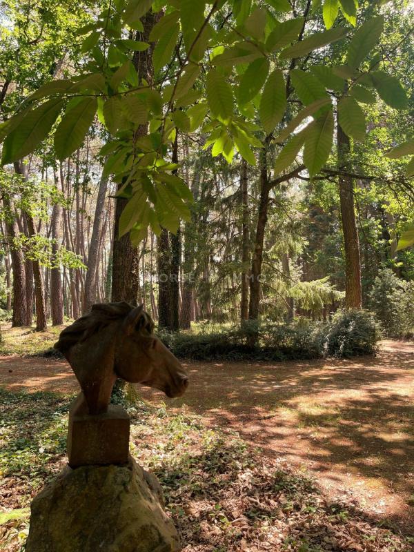 Haras - 303 m² - 10 pièces