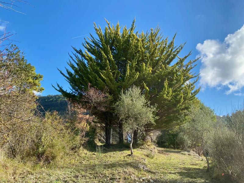 Terrain inconstructible - 2 400 m²