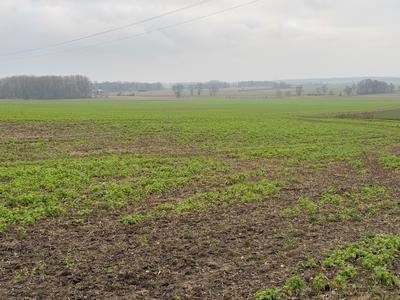 Terrain constructible - 926 m²