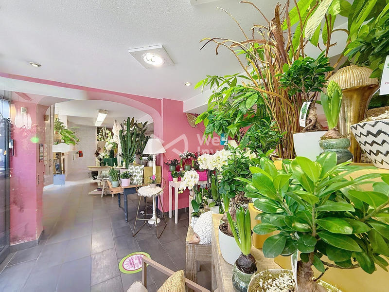 Fonds de commerce - Magasins - 210 m²