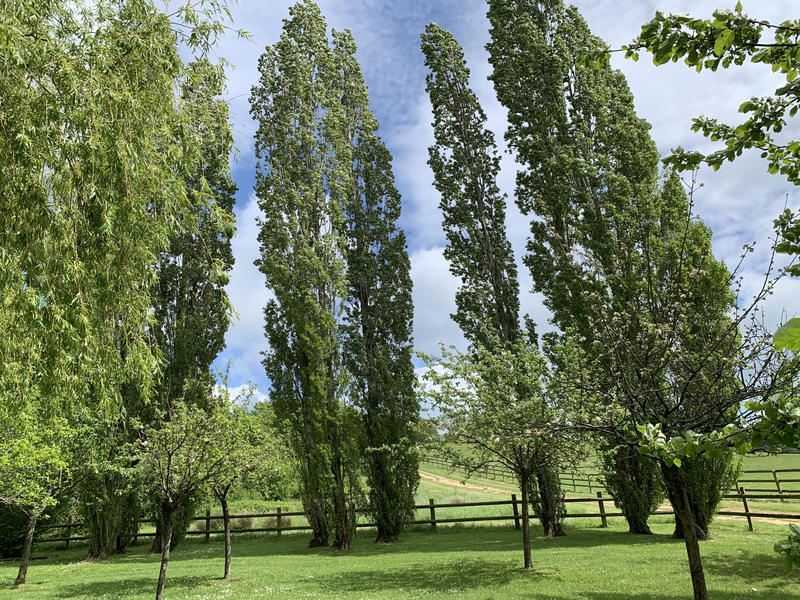 Maison - 185 m² - 7 pièces