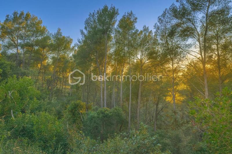 Terrain de loisirs - 5 600 m²