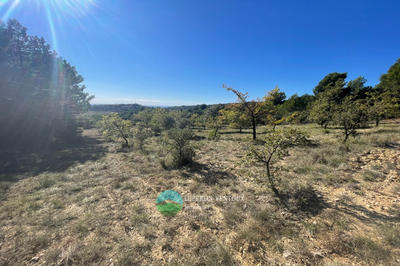 Terrain agricole - 6 120 m²