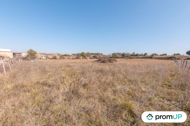 Terrain agricole - 5 000 m²