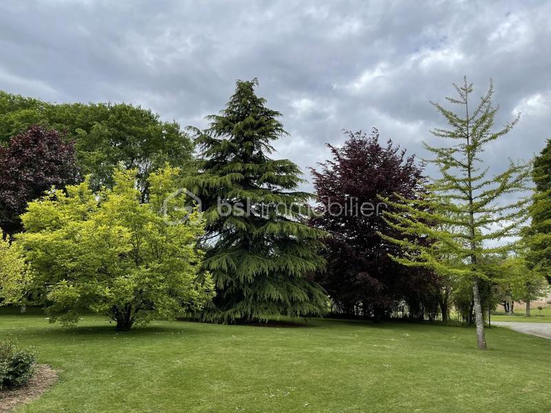 Maison traditionnelle - 206 m² - 7 pièces