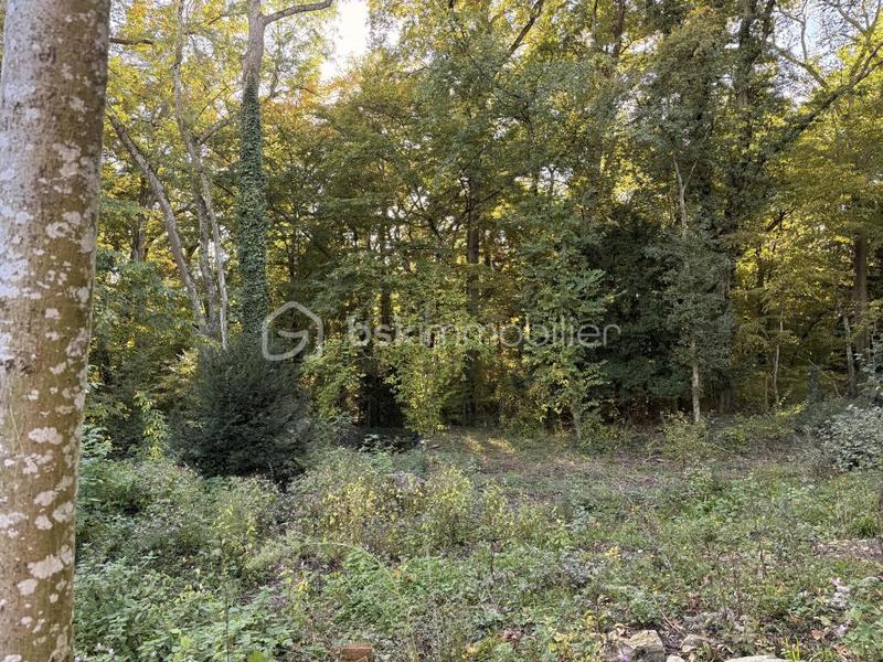 Maison ancienne - 138 m² - 6 pièces