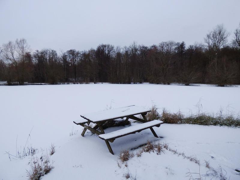 Terrain - 13 730 m²