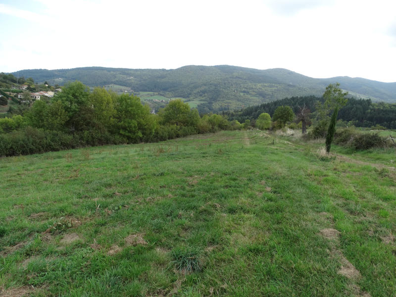 Propriété - 380 m² - 10 pièces