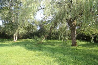 Maison - 200 m² - 7 pièces