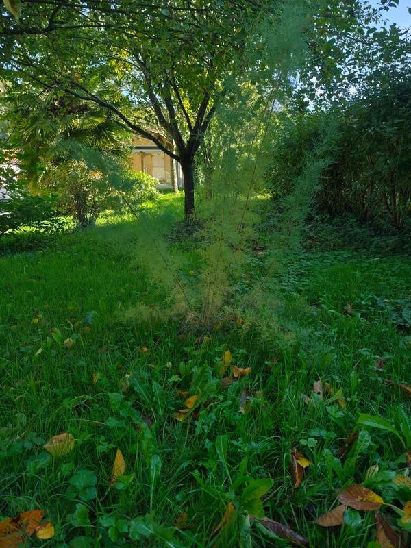 Maison - 79 m² - 5 pièces