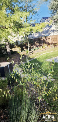 Maison - 195 m² - 9 pièces