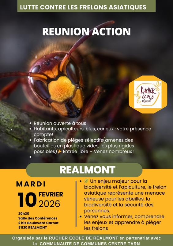 Lutte contre les frelons asiatiques -Réunion publique