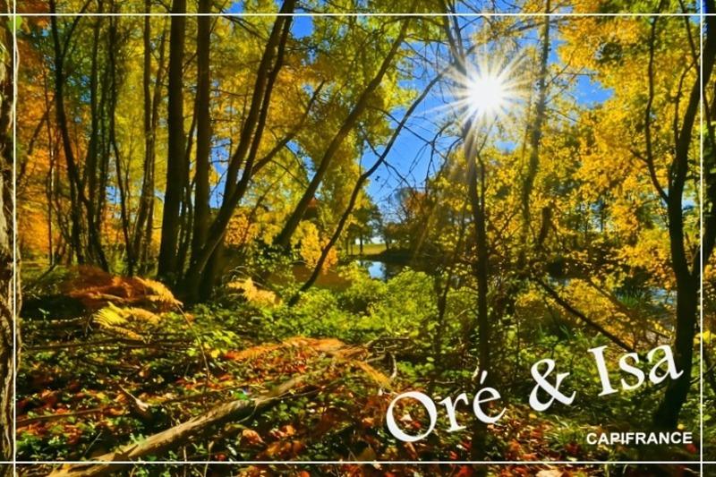 Terrain - 49 655 m²