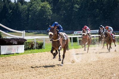 Courses hippiques : journée Race and Care