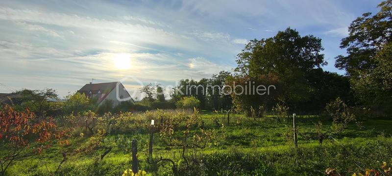 Terrain constructible - 3 149 m²