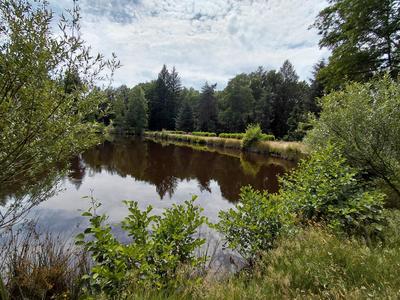 Terrain agricole - 26 557 m²