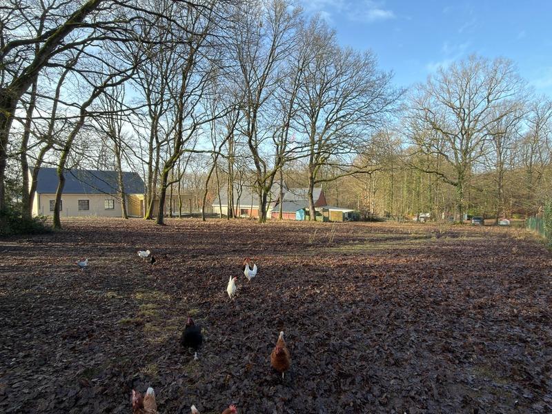 Terrain constructible - 1 874 m²