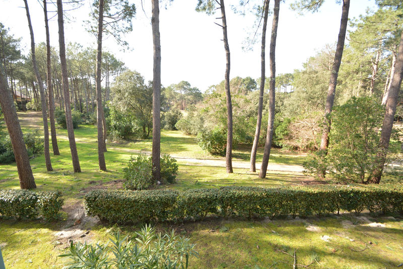 Appartement - 46 m² - 3 pièces