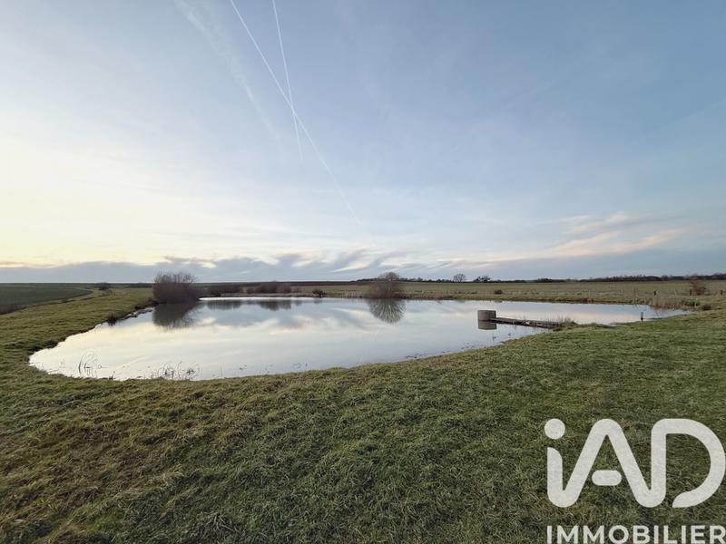 Terrain - 35 736 m²