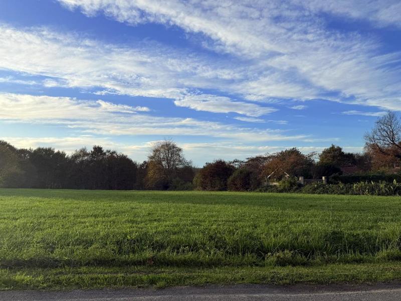 Terrain - 15 500 m²