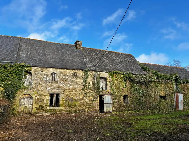 Maison - 600 m² - 5 pièces