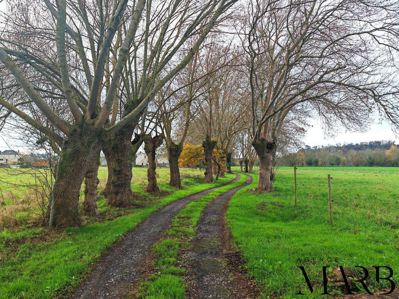 Maison ancienne - 200 m² - 6 pièces
