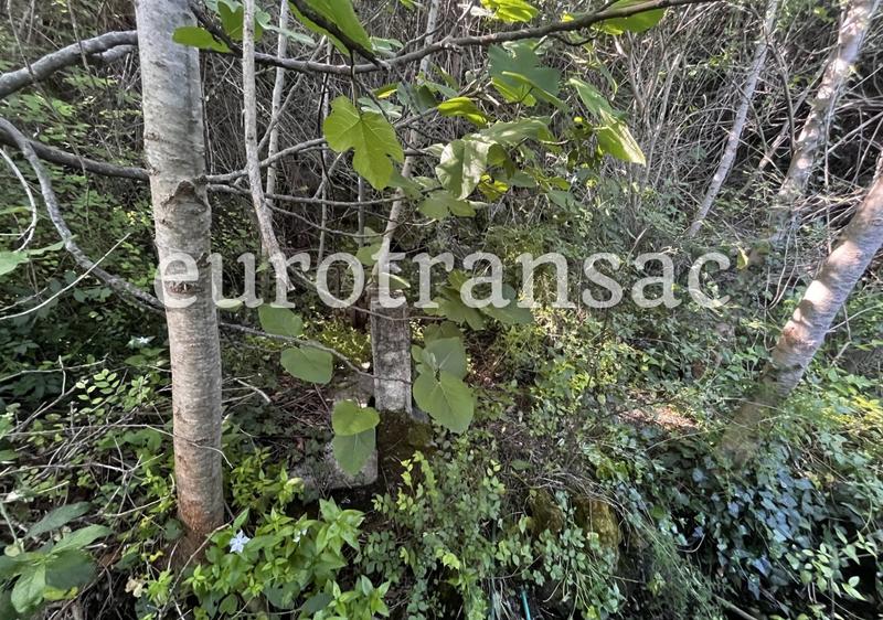 Terrain agricole - 11 480 m²