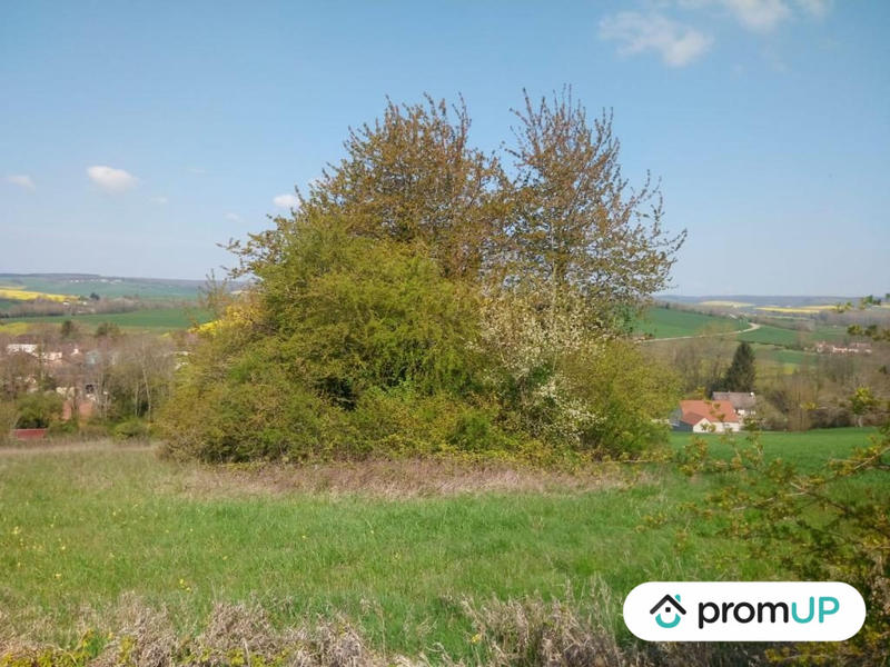 Terrain - 16 000 m²