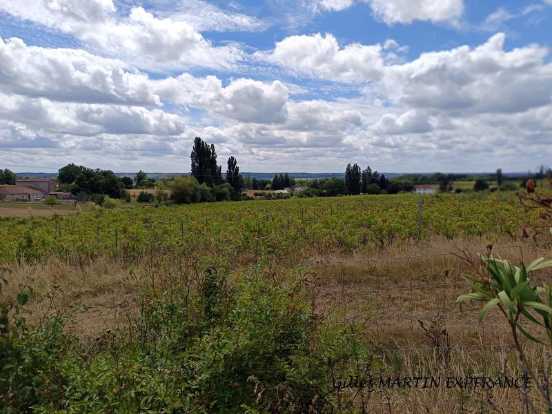 Maison ancienne - 185 m² - 6 pièces