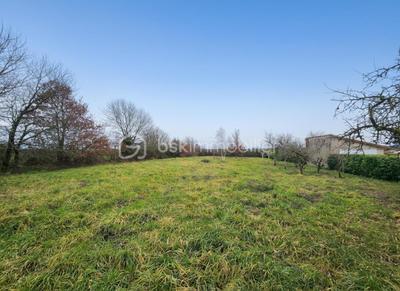 Terrain - 2 160 m²