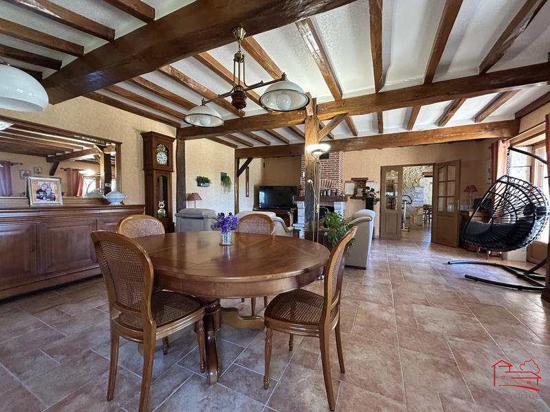 Maison - 321 m² - 9 pièces