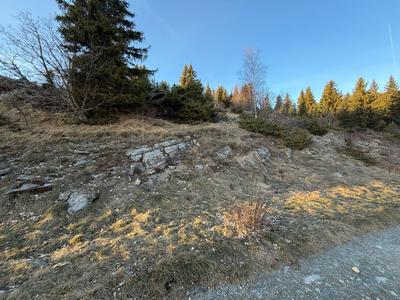 Terrain - 20 000 m²