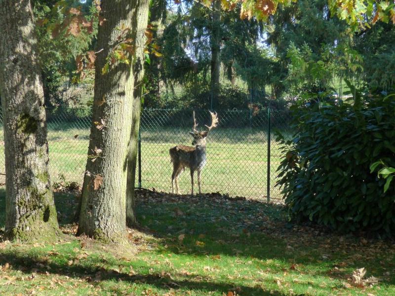 Maison - 330 m² - 8 pièces