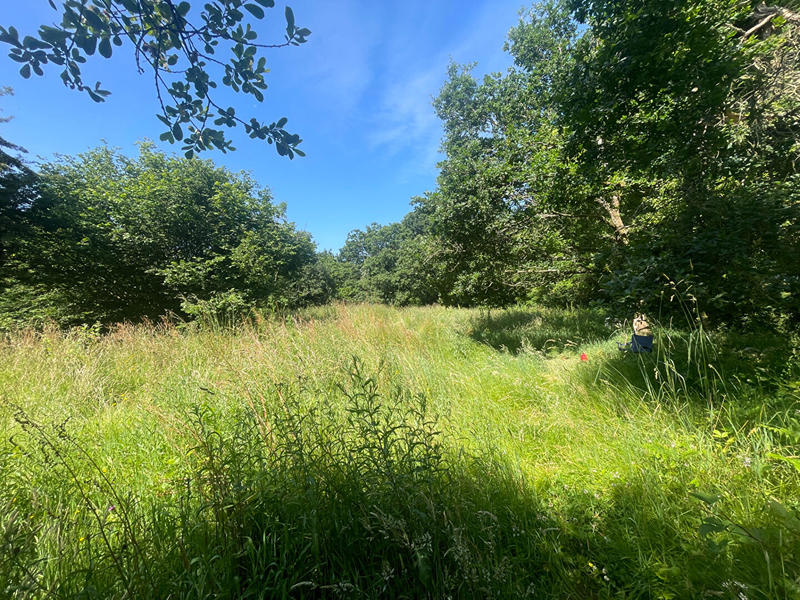 Maison - 115 m² - 6 pièces