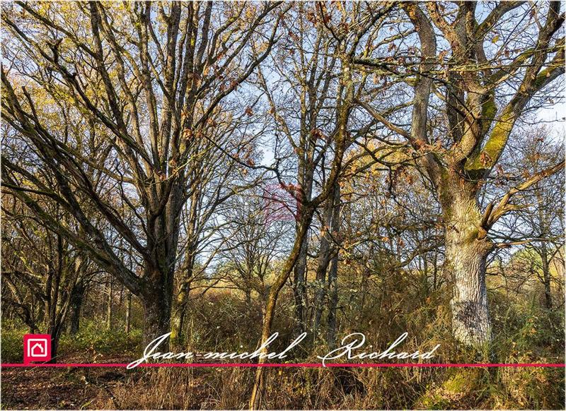 Étang - 166 990 m²