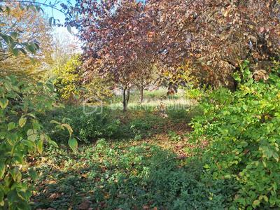 Maison - 194 m² - 7 pièces