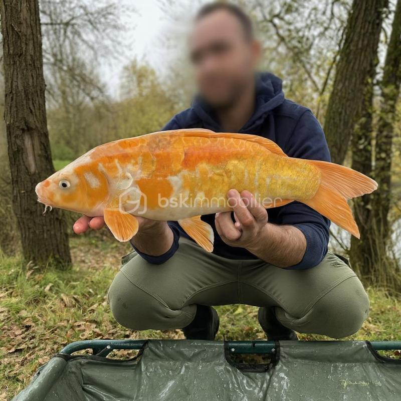 Terrain de loisirs - 10 885 m²