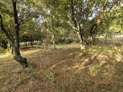 Terrain agricole - 2 380 m²