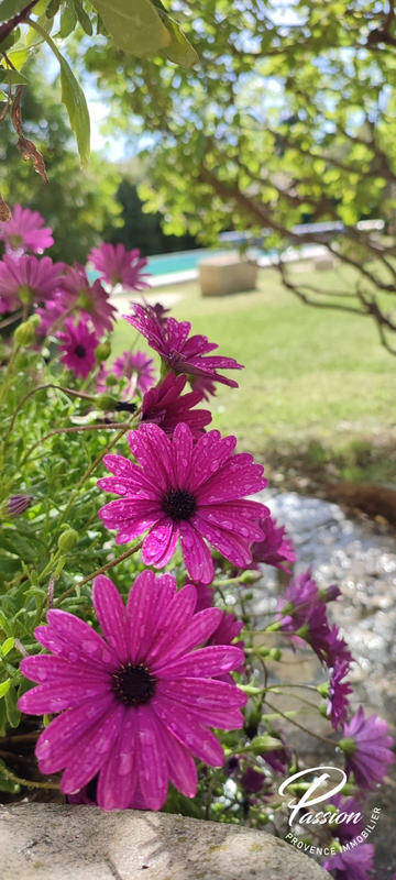 Villa - 145 m² - 5 pièces