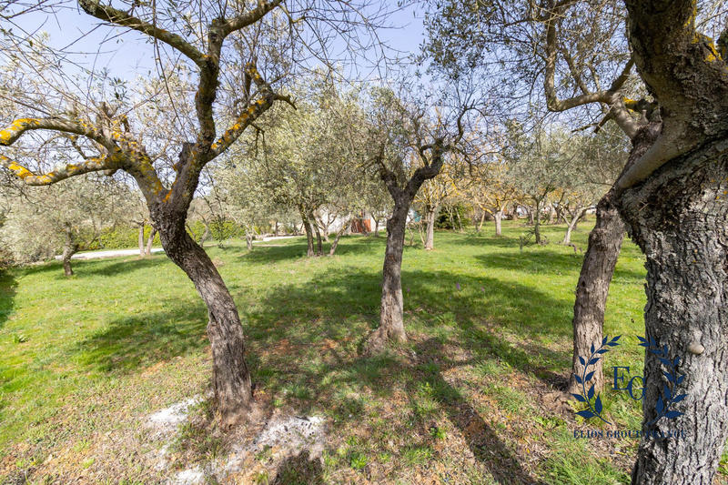 Maison - 188 m² - 5 pièces