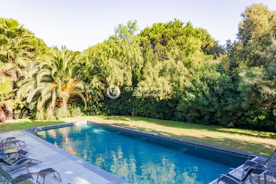 Maison - 320 m² - 6 pièces