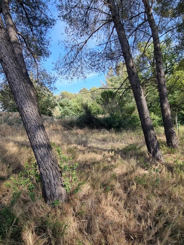 Terrain constructible - 1 060 m²