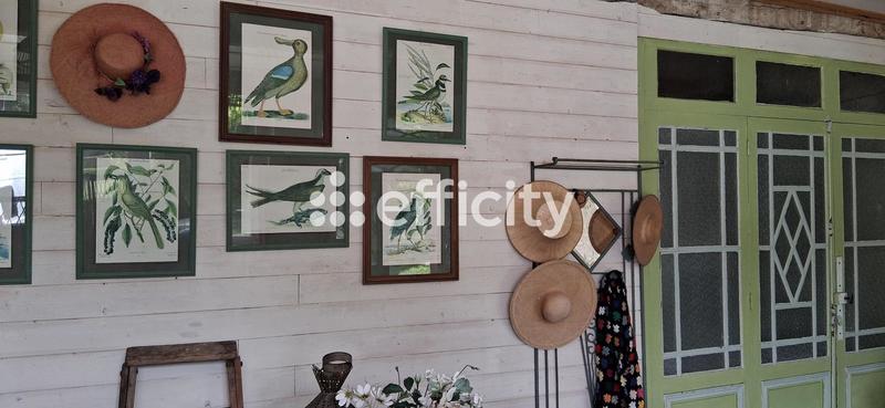 Propriété - 205 m² - 6 pièces