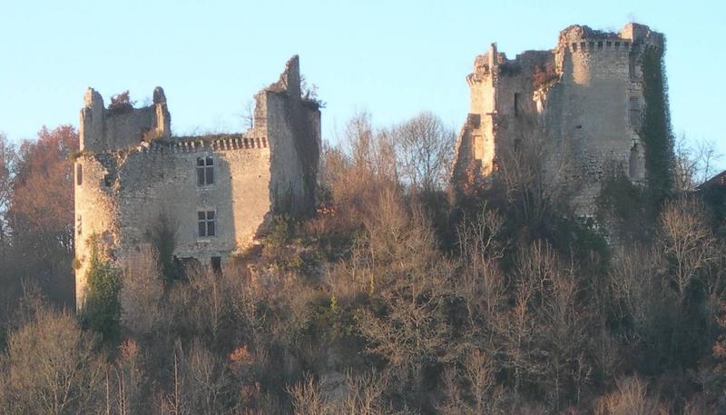Visite guidée et fauconnerie - Châteaux en fête