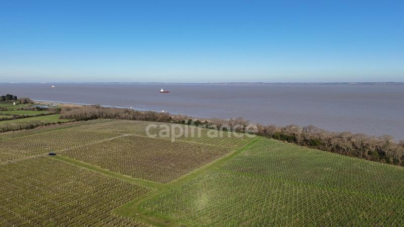 Propriété - 1 357 m² - 12 pièces