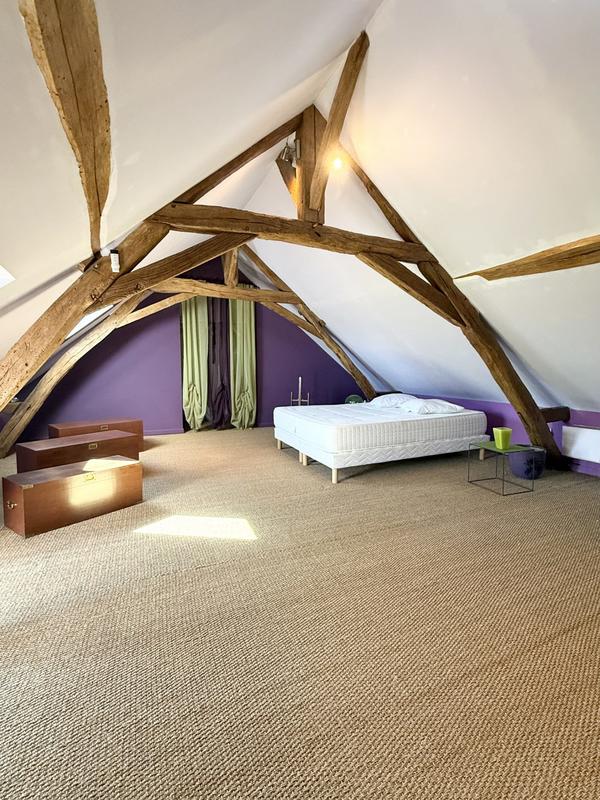 Maison ancienne - 437 m² - 12 pièces