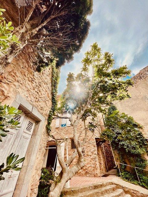 Maison de maîtres - 1 200 m² - 7 pièces