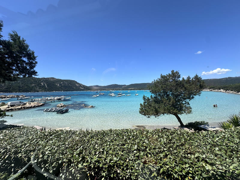 Appartement - 17 m² - 1 pièce