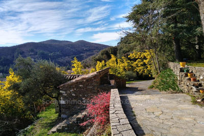 Maison - 199 m² - 5 pièces